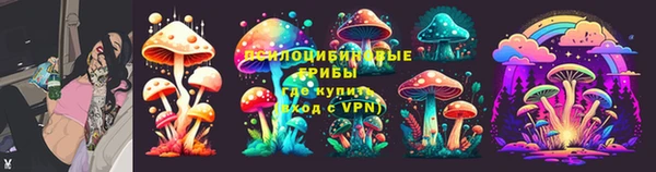 гашик Заволжье