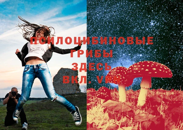 MDMA Premium VHQ Заводоуковск
