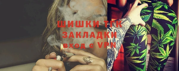 гашик Заволжье